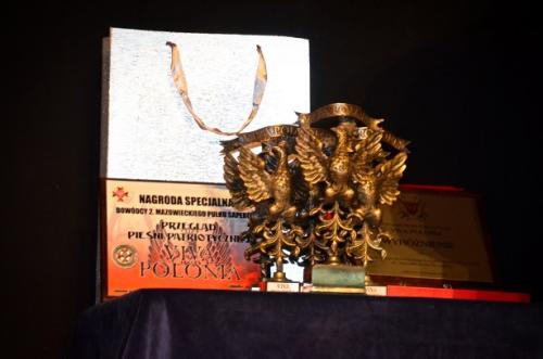 PPP Viva Polonia 2017 9