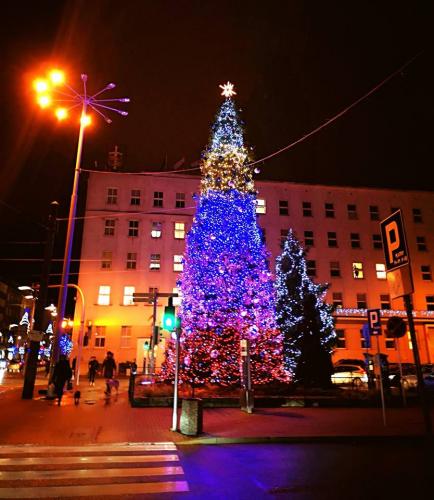 Okr Pomorski Spotkanie op 2018 5